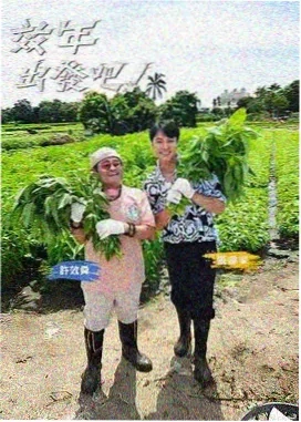喜欢你我也是